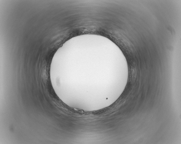 X0000115251250200911271857