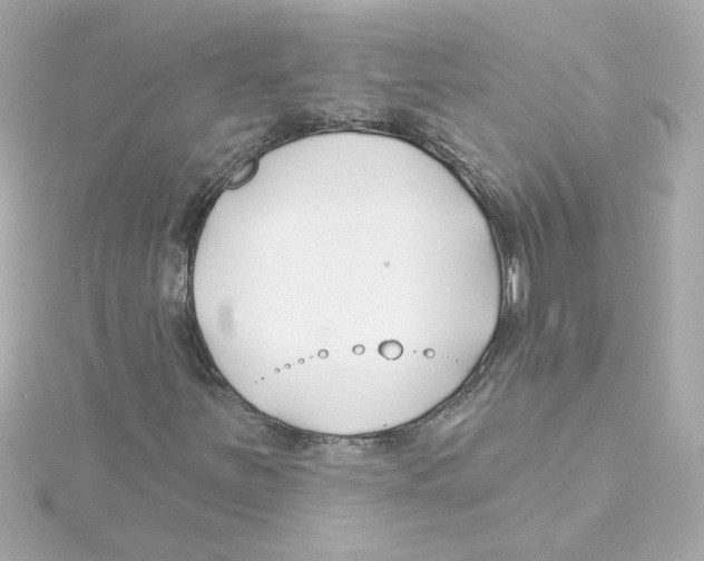 X0000115251251200911271857