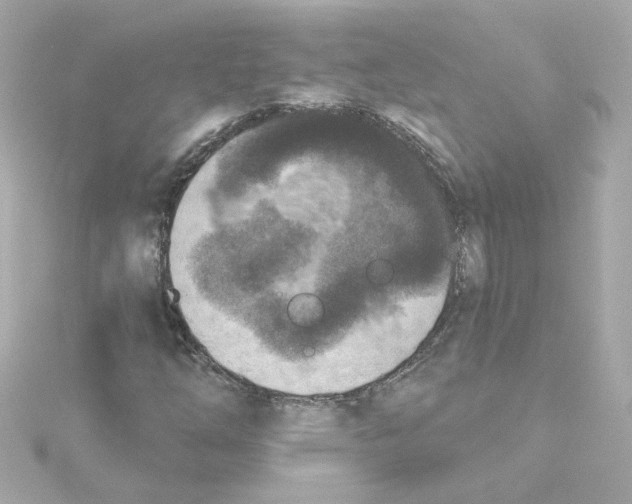 X0000115251254200911271857