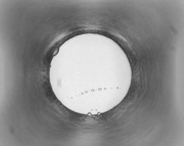 X0000115251255200911271857