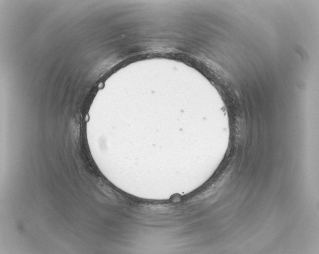 X0000115251257200911271857