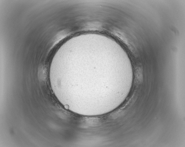 X0000115251258200911271857