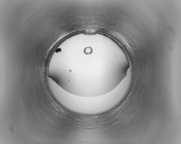 X0000115251260200911271857