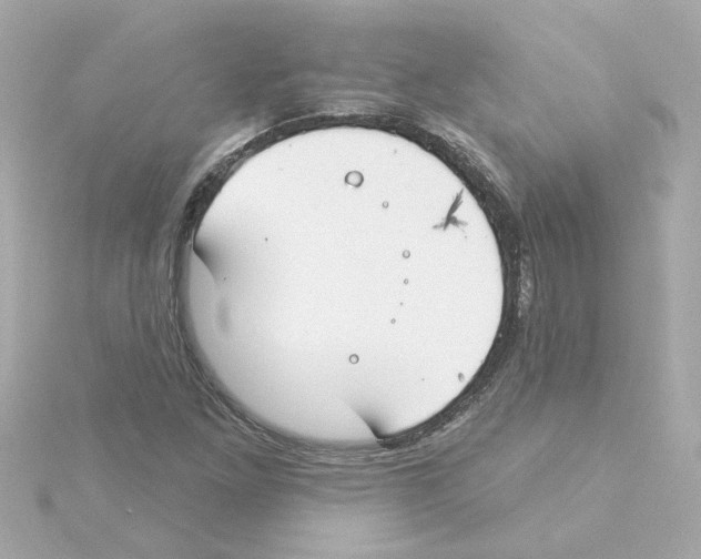 X0000115251261200911271857