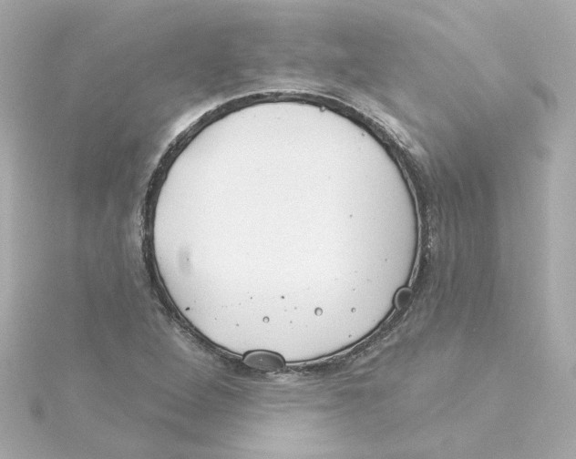 X0000115251264200911271857