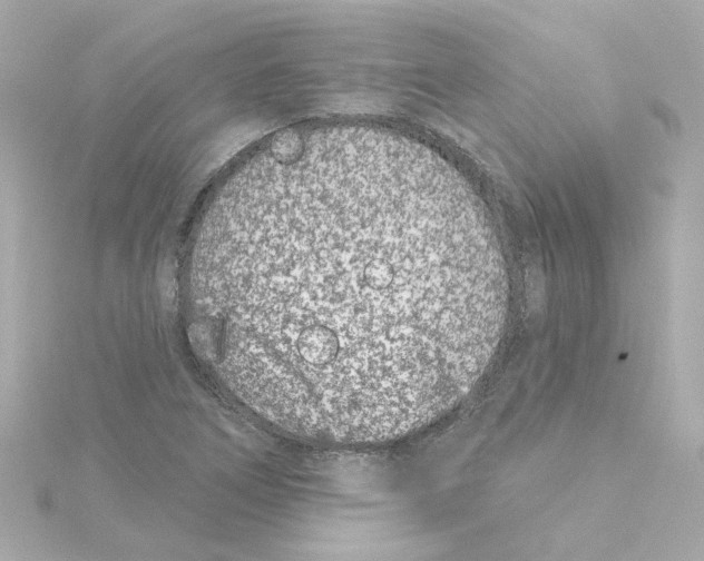 X0000115251266200911271857