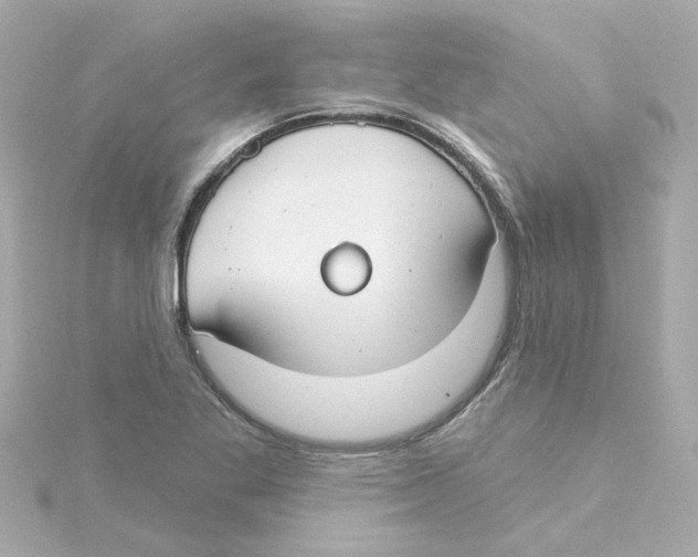 X0000115251269200911271857