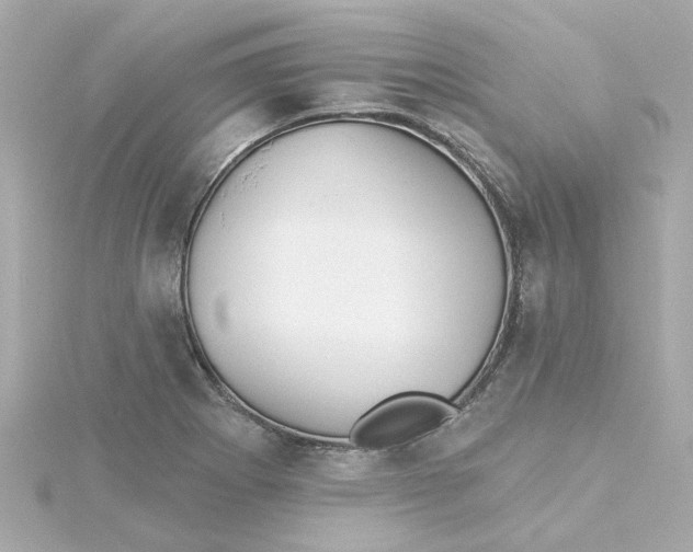 X0000115251273200911271857