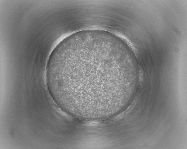 X0000115251278200911271857