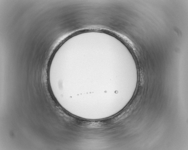 X0000115251279200911271857