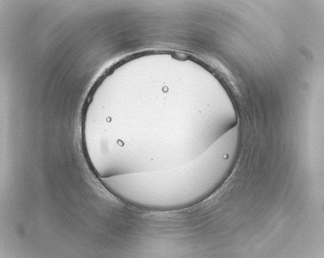 X0000115251280200911271857