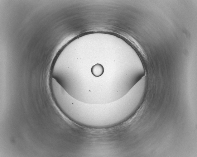 X0000115251285200911271857