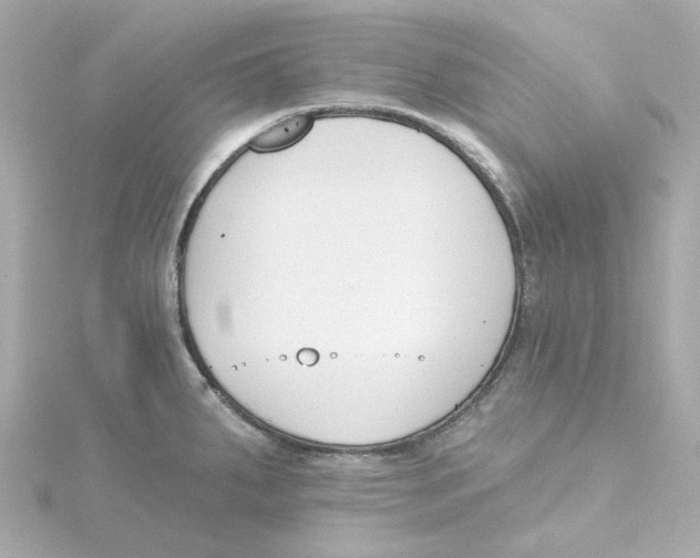 X0000115251287200911271856