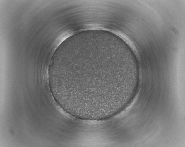 X0000115251289200911271856