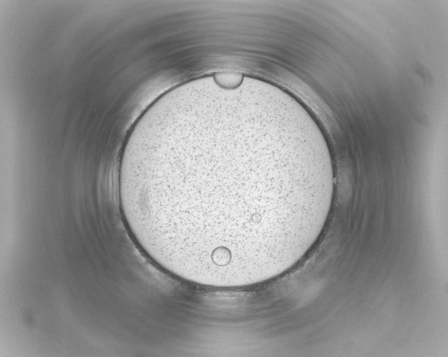 X0000115251290200911271856