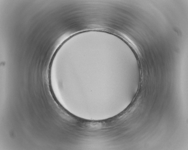 X0000115251291200911271856