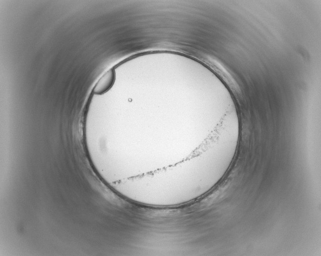 X0000115251292200911271856