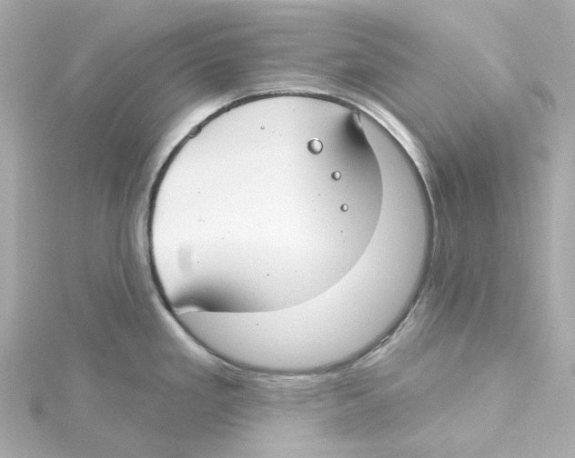 X0000115251293200911271856