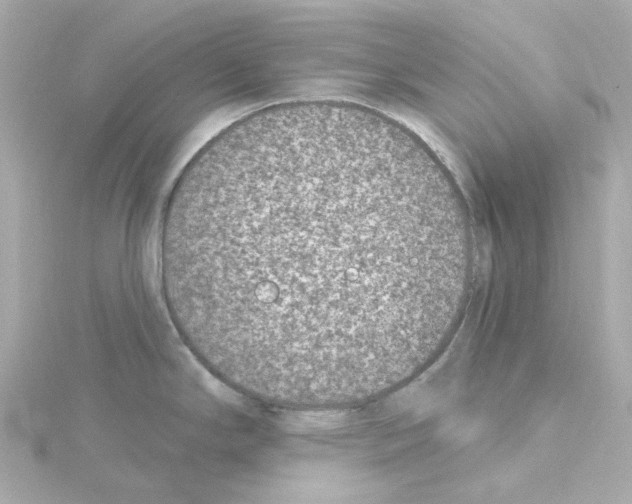 X0000115251294200911271856