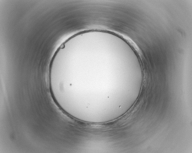 X0000115251295200911271856