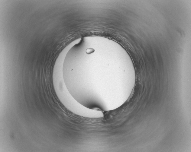 X0000115251298200911271856