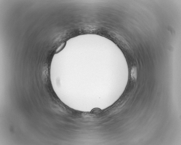 X0000115251299200911271856