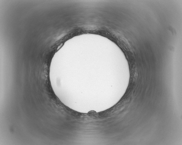 X0000115251301200911271856