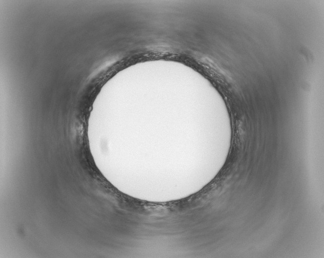 X0000115251302200911271856