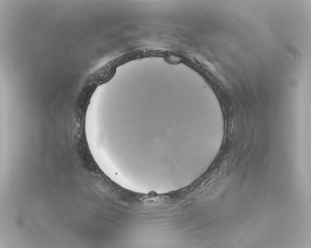 X0000115251303200911271856