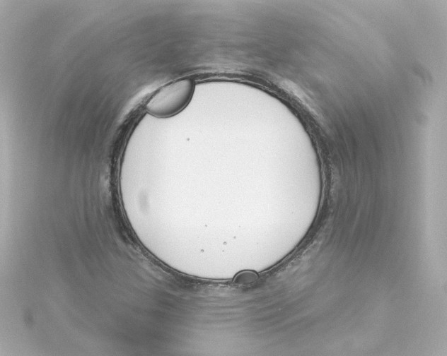 X0000115251307200911271856