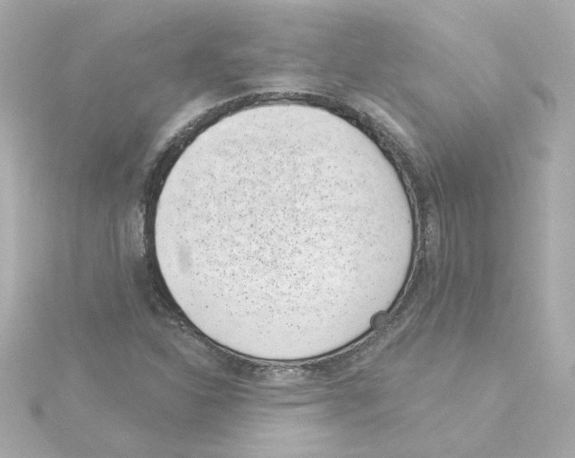 X0000115251310200911271856