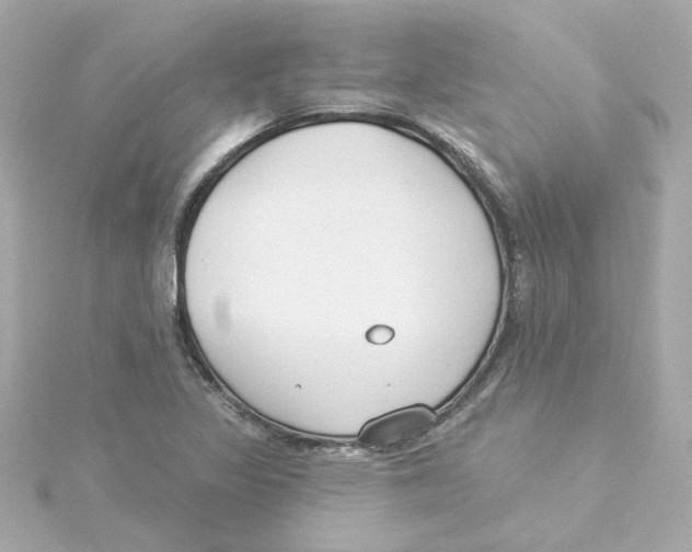 X0000115251317200911271856