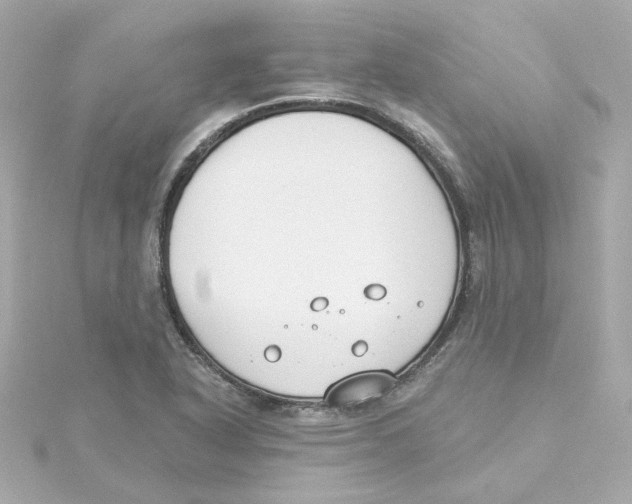 X0000115251318200911271856