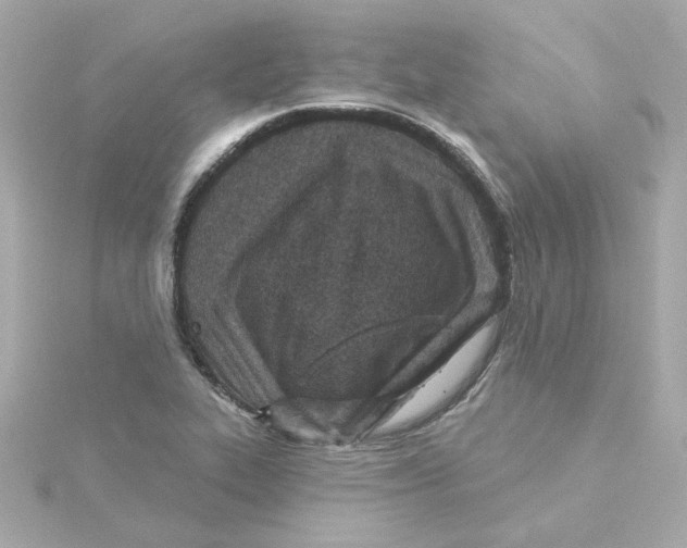 X0000115251319200911271856