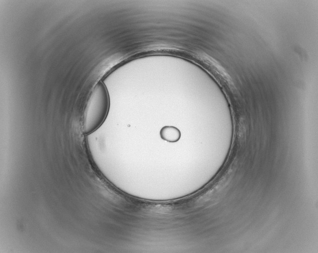 X0000115251321200911271856