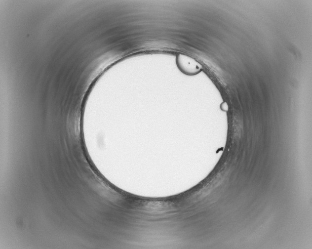 X0000115251322200911271856