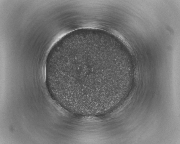 X0000115251323200911271856