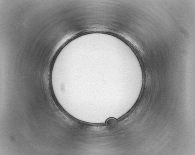 X0000115251325200911271856