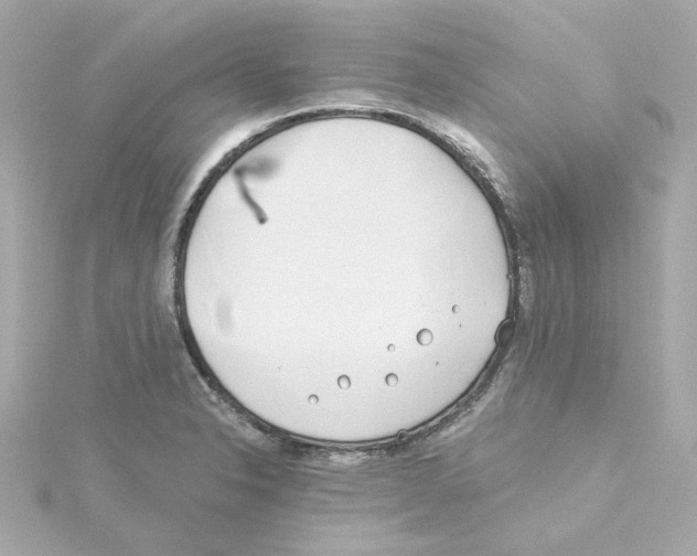 X0000115251326200911271856