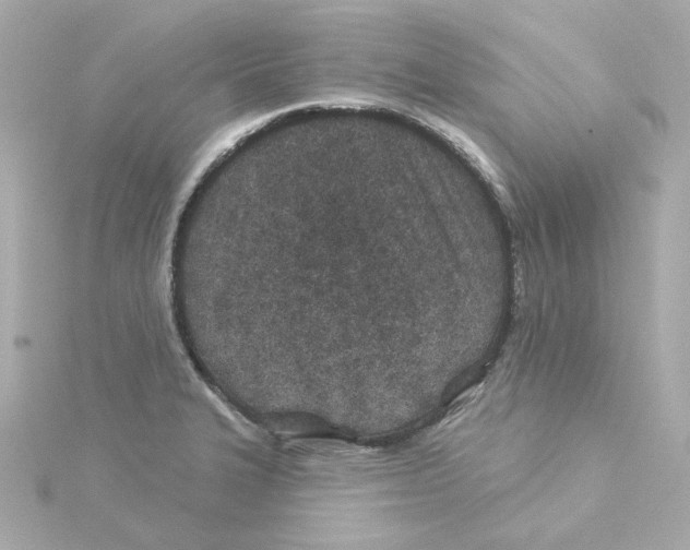 X0000115251327200911271856