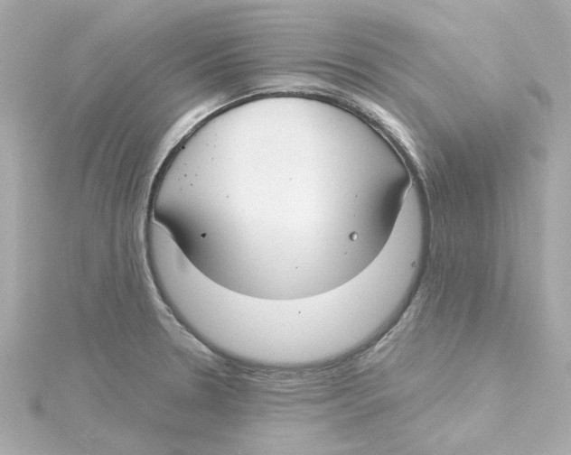 X0000115251330200911271856