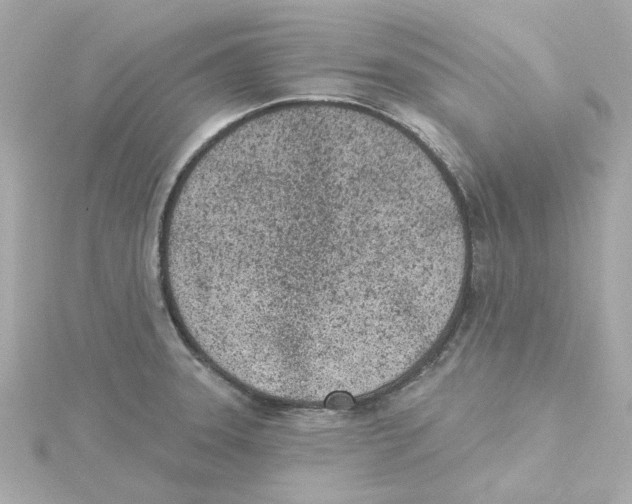 X0000115251331200911271856