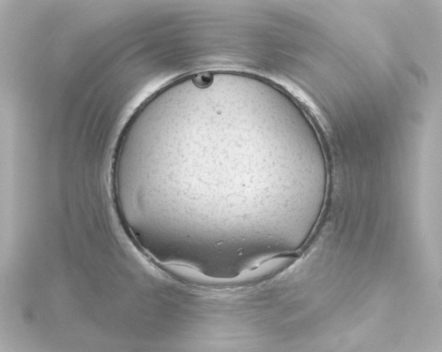 X0000115251333200911271856