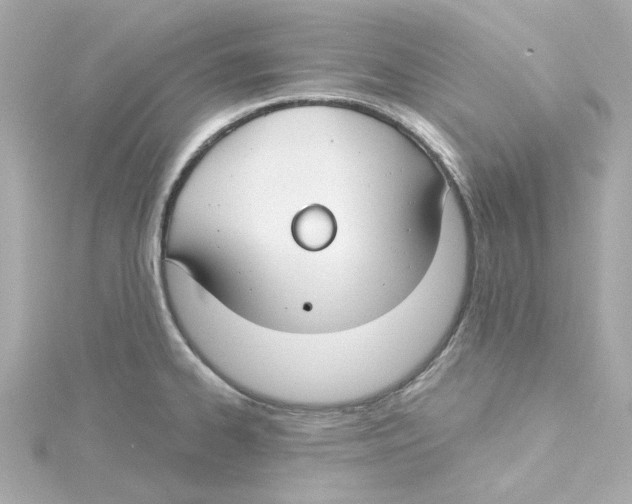 X0000115251334200911271856