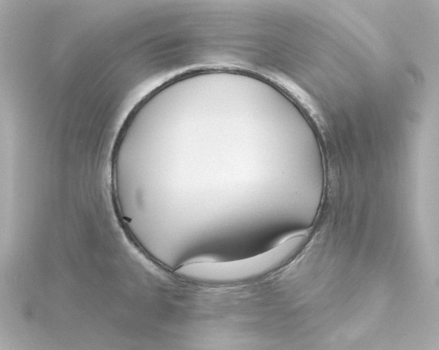 X0000115251335200911271856