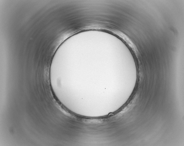 X0000115251337200911271856