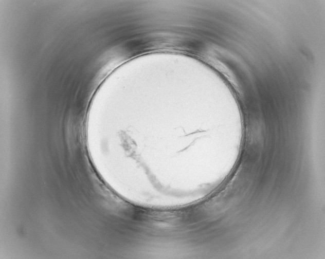 X0000115251338200911271856