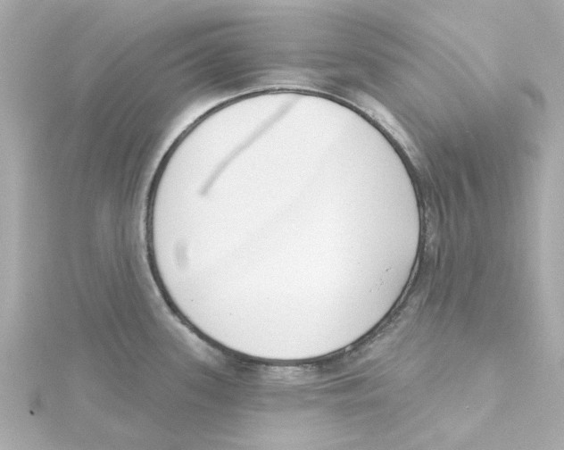 X0000115251339200911271856