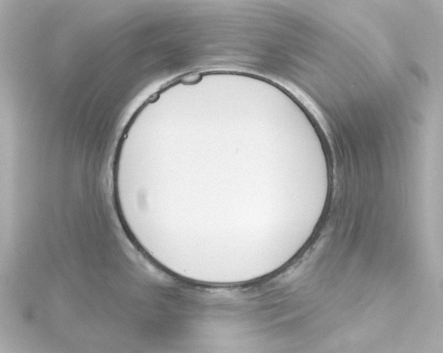 X0000115251341200911271856