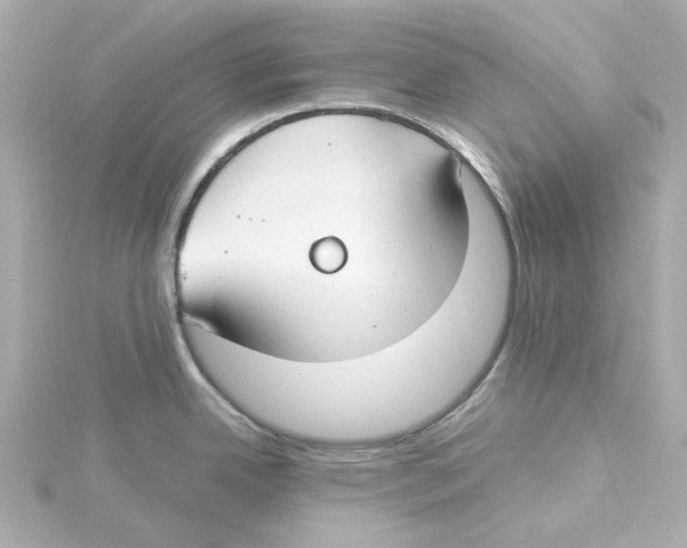 X0000115251342200911271856